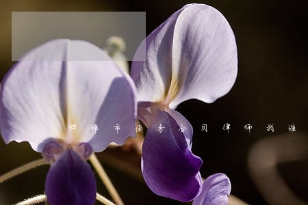蚌埠市债务合同律师找谁好 蚌埠市债务合同律师找谁好