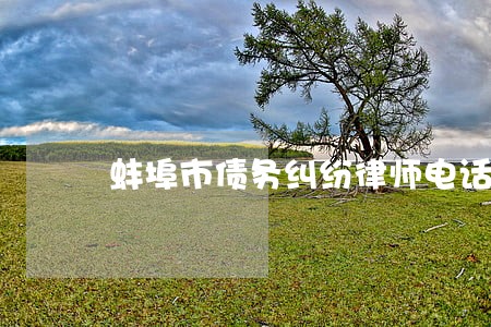蚌埠市债务纠纷律师电话