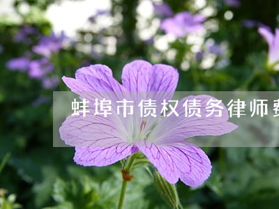 蚌埠市债权债务律师费用多少 蚌埠市债权债务律师费用多少