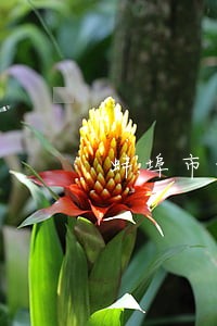 蚌埠市刑事诉讼律师顾问 蚌埠市刑事诉讼律师顾问