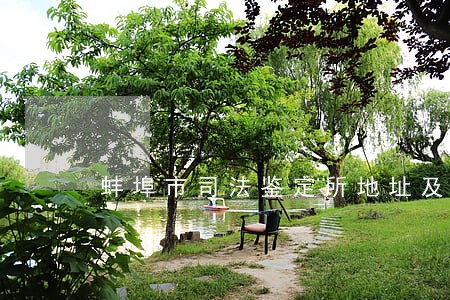 蚌埠市司法鉴定所地址及电话号码 蚌埠市司法鉴定所地址及电话号码