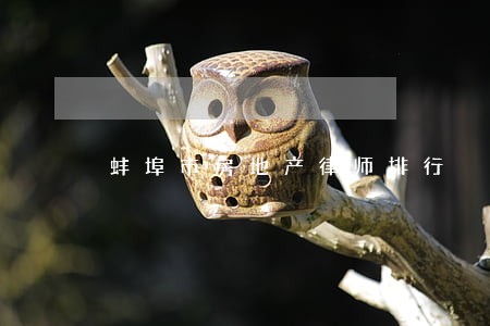 蚌埠市房地产律师排行