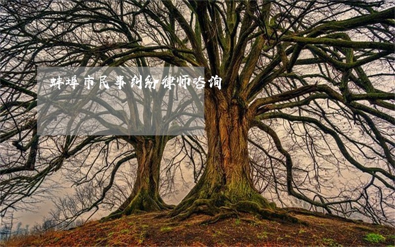 蚌埠市民事纠纷律师咨询 蚌埠市民事纠纷律师咨询