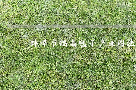 蚌埠市瑞晶电子产业园法院公告