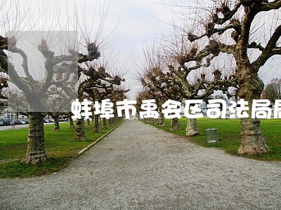 蚌埠市禹会区司法局局长 蚌埠市禹会区司法局局长