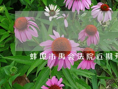 蚌埠市禹会法院近期开庭信息