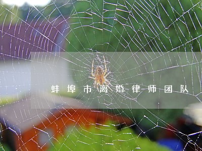 蚌埠市离婚律师团队 蚌埠市离婚律师团队