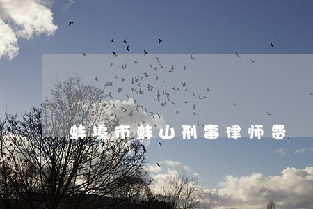 蚌埠市蚌山刑事律师费 蚌埠市蚌山刑事律师费