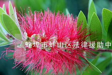 蚌埠市蚌山区法律援助中心怎么样