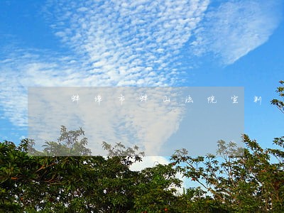 蚌埠市蚌山法院宣判 蚌埠市蚌山法院宣判