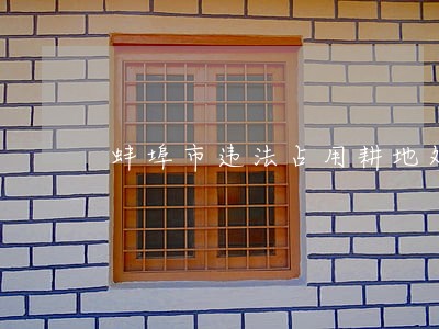蚌埠市违法占用耕地处罚