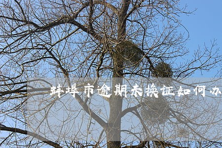 蚌埠市逾期未换证如何办理 蚌埠市逾期未换证如何办理