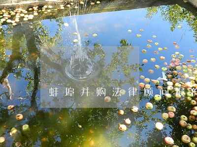 蚌埠并购法律顾问报价 蚌埠并购法律顾问报价