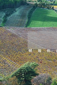 蚌埠怀远县司法局职位表 蚌埠怀远县司法局职位表