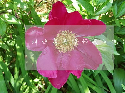 蚌埠房产律师顾问电话 蚌埠房产律师顾问电话