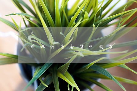 蚌埠找债务律师找谁