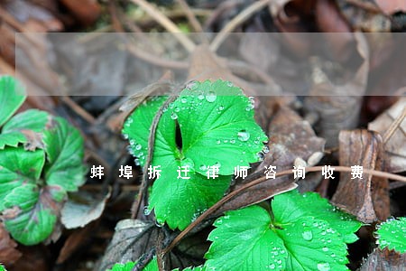 蚌埠拆迁律师咨询收费