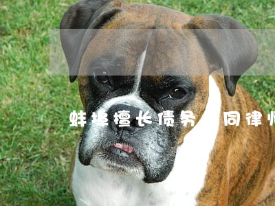 蚌埠擅长债务合同律师 蚌埠擅长债务合同律师