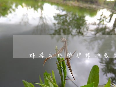蚌埠本地辩护律师收费标准 蚌埠本地辩护律师收费标准