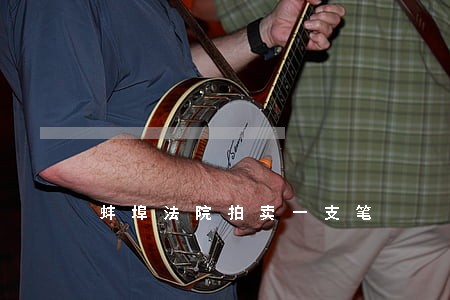 蚌埠法院拍卖一支笔 蚌埠法院拍卖一支笔