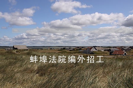 蚌埠法院编外招工 蚌埠法院编外招工