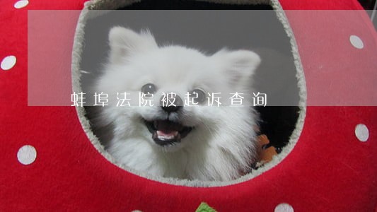 蚌埠法院被起诉查询 蚌埠法院被起诉查询