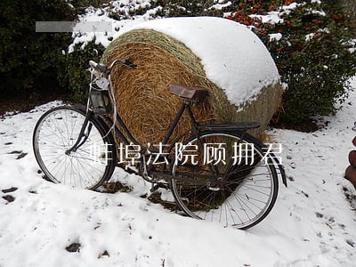 蚌埠法院顾拥君