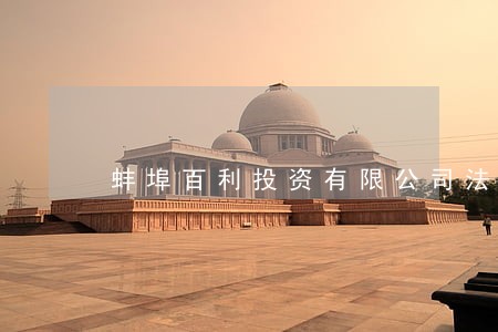 蚌埠百利投资有限公司法人