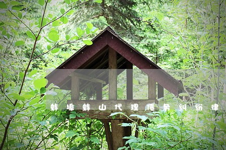 蚌埠蚌山代理债务纠纷律师 蚌埠蚌山代理债务纠纷律师