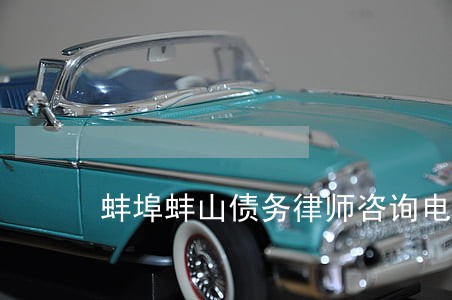 蚌埠蚌山债务律师咨询电话 蚌埠蚌山债务律师咨询电话