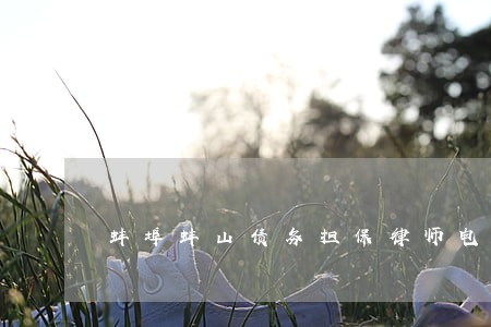 蚌埠蚌山债务担保律师电话