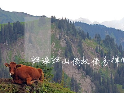 蚌埠蚌山债权债务律师咨询免费 蚌埠蚌山债权债务律师咨询免费