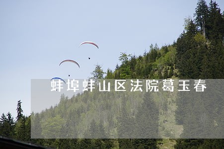 蚌埠蚌山区法院葛玉春 蚌埠蚌山区法院葛玉春