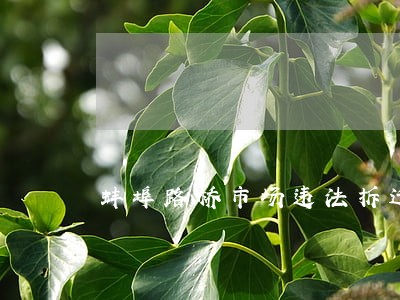 蚌埠路桥市场违法拆迁补偿