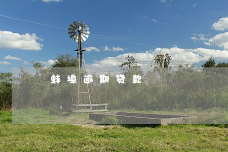蚌埠逾期贷款 蚌埠逾期贷款