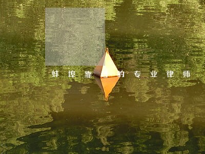 蚌埠靠谱的专业律师