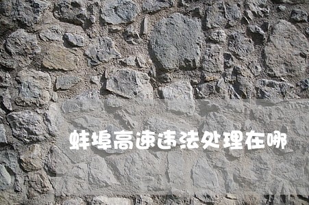 蚌埠高速违法处理在哪 蚌埠高速违法处理在哪