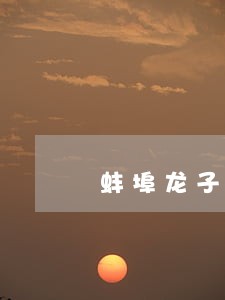 蚌埠龙子湖法院网上拍卖淘宝 蚌埠龙子湖法院网上拍卖淘宝