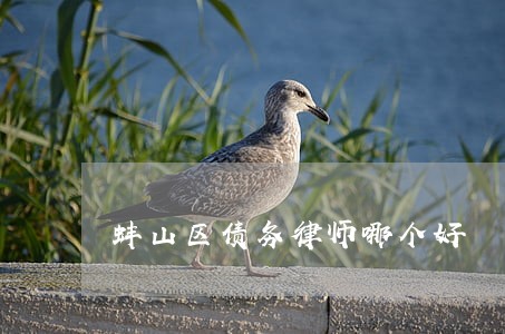 蚌山区债务律师哪个好 蚌山区债务律师哪个好