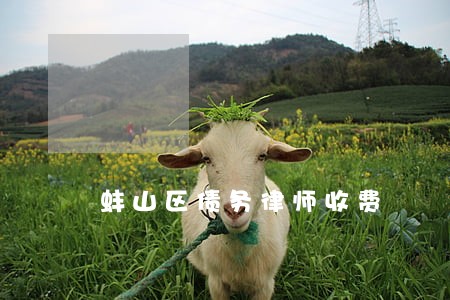 蚌山区债务律师收费 蚌山区债务律师收费