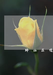 蚌山区债务纠纷律师推荐 蚌山区债务纠纷律师推荐