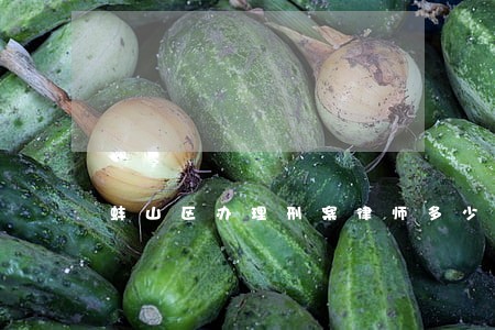 蚌山区办理刑案律师多少钱 蚌山区办理刑案律师多少钱