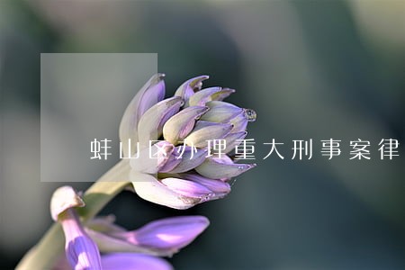 蚌山区办理重大刑事案律师多少钱