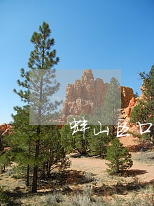 蚌山区口碑好的债务担保律师 蚌山区口碑好的债务担保律师