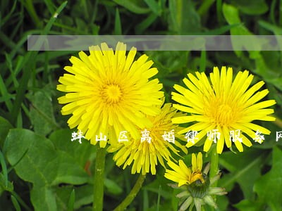 蚌山区离婚律师服务网站 蚌山区离婚律师服务网站