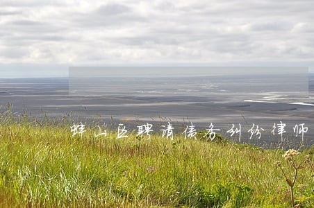 蚌山区聘请债务纠纷律师 蚌山区聘请债务纠纷律师