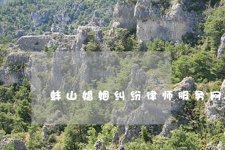 蚌山婚姻纠纷律师服务网站 蚌山婚姻纠纷律师服务网站