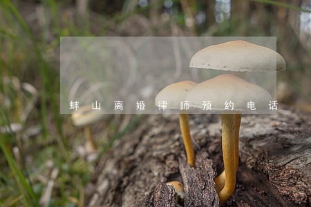 蚌山离婚律师预约电话