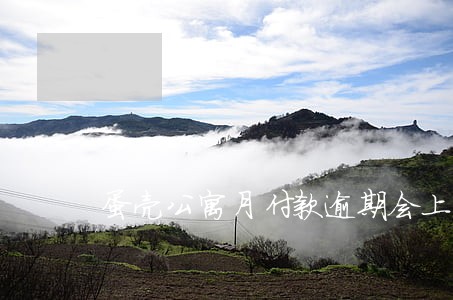 蛋壳公寓月付款逾期会上征信吗 蛋壳公寓月付款逾期会上征信吗