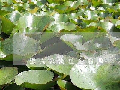 蛋壳公寓租金逾期一天会怎样 蛋壳公寓租金逾期一天会怎样